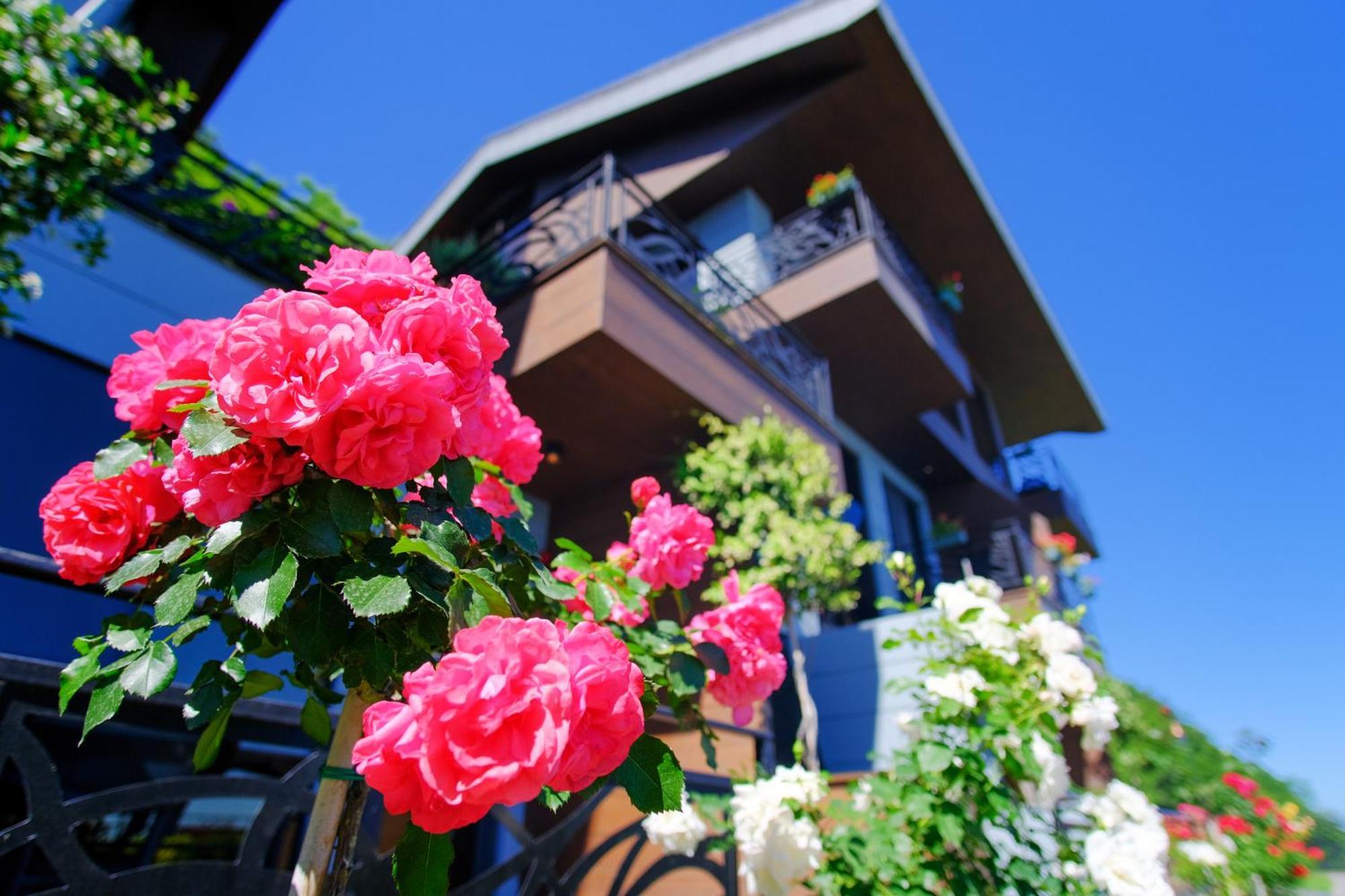 Peerless Villas Hotel Τραμπζόν Εξωτερικό φωτογραφία